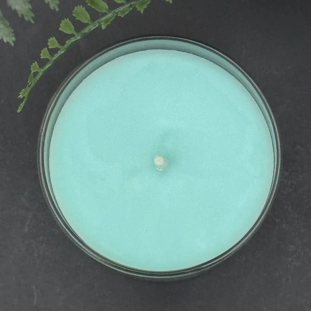 BBW Blue Orchard Skies Bath & Body Works Single Wick Candle